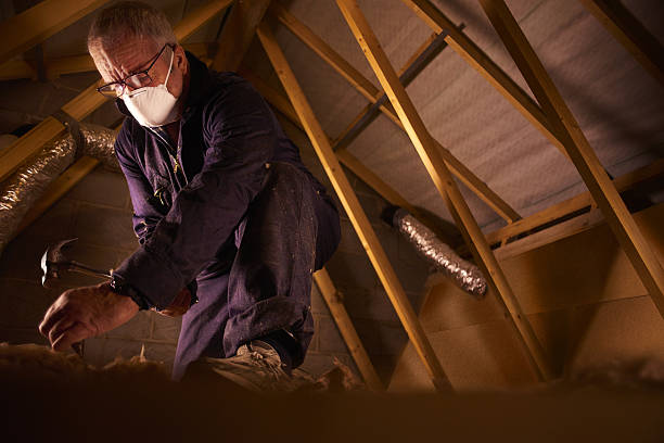 Types of Insulation We Offer in Raubsville, PA